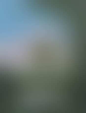 Backwaters Scene with Stand of Trees and Birds (preview)