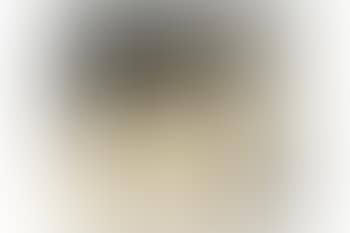 [Untitled] (preview)