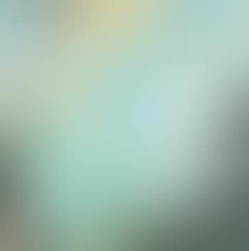 Spring scenery (preview)