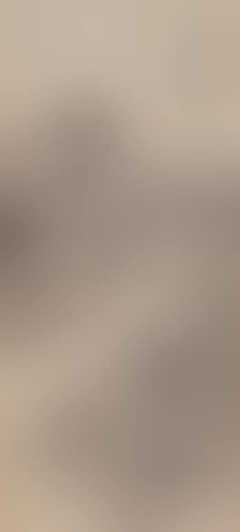 Landscape by Qin Zuyong (preview)