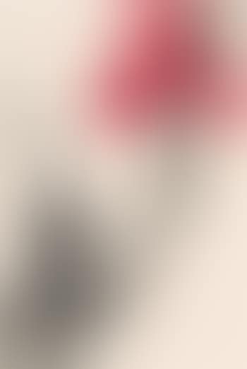 Red flowers (preview)
