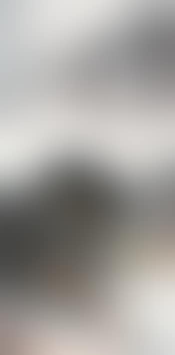 Landscape (preview)