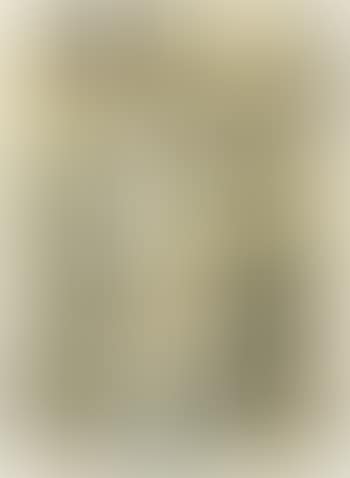Stilleben (preview)