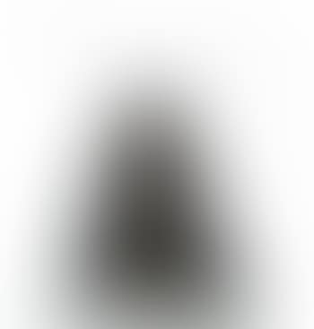 Nature morte (preview)