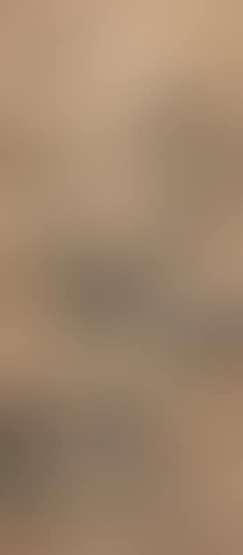 Landscape by Wang Yun (preview)