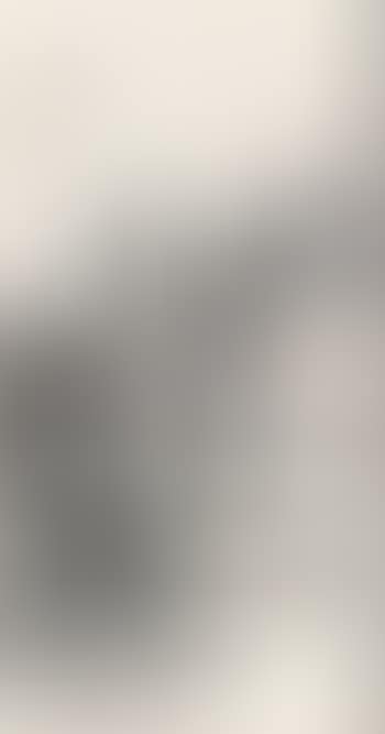 Landscape (preview)