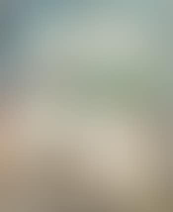 Scenery (preview)