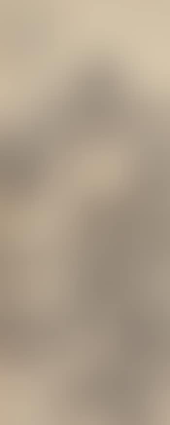 Landscape (preview)