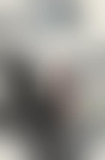 Figure (preview)