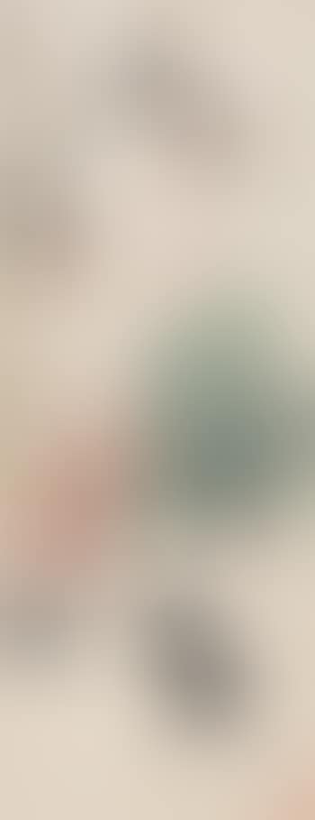 Chicks by The Begonza (preview)