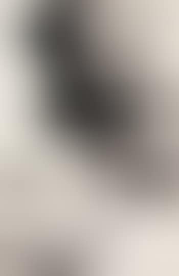 Landscape (preview)