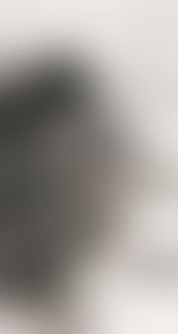 Landscape (preview)