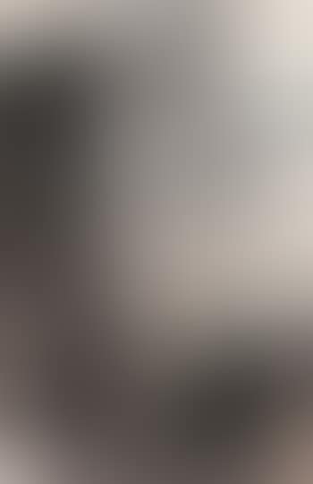 Landscape (preview)
