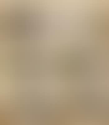 Landscape (preview)