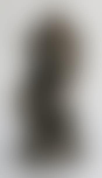 Der Denker (preview)