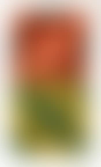 Hiouz II (preview)