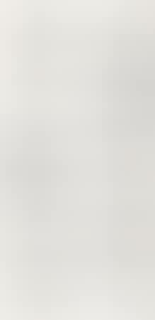 Calligraphy Couplet (preview)