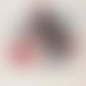 Litchi (preview)