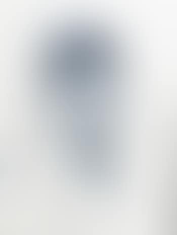 Visage (preview)