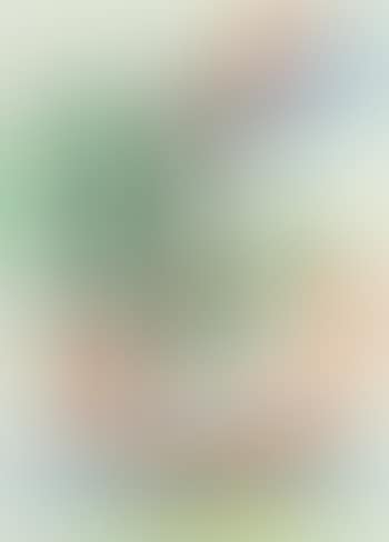 Derriere Le Miroir, DLM (preview)