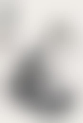 A Cat (preview)