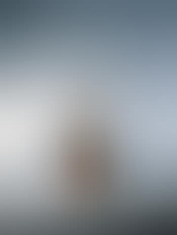 Violon double phoenix (preview)