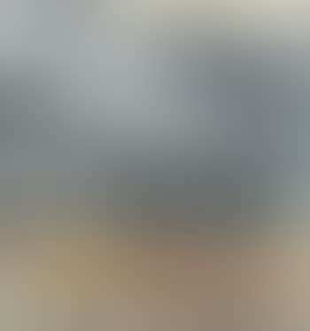 The autumn landscape (preview)