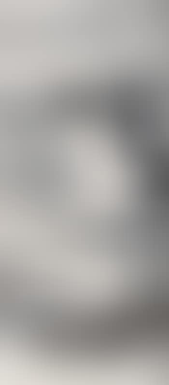 The Egret In Pond (preview)