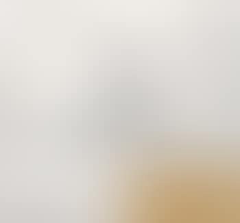 Mustard Seed Garden Landscape Scroll (preview)