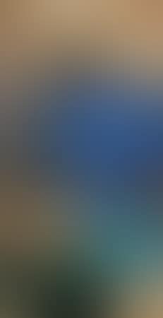 Landscape (preview)