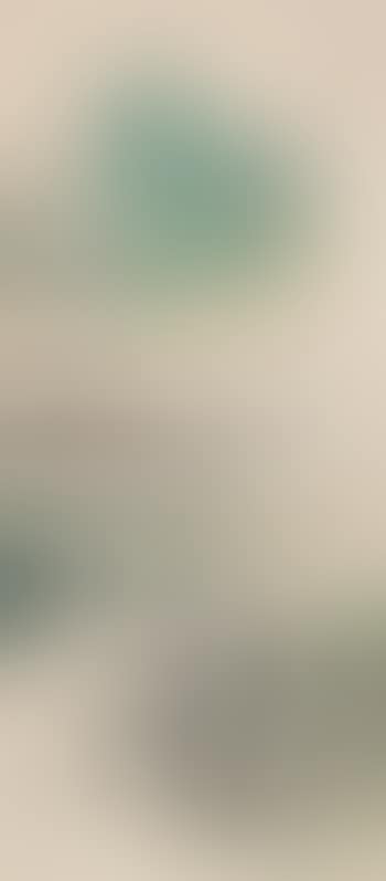 Landscape (preview)