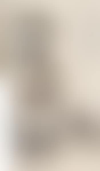 Quails (preview)