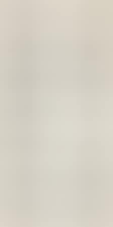 Calligraphy couplet (preview)