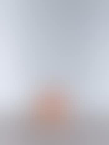 Untitled (unique) (preview)