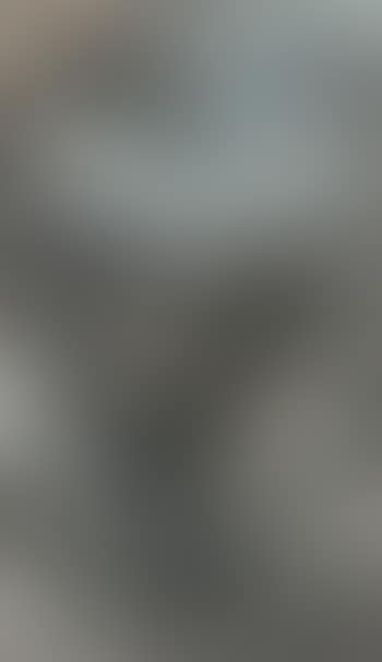Landscape in spring (preview)