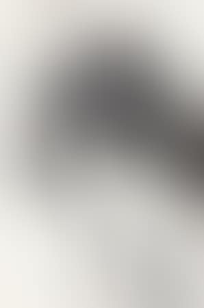 Crane (preview)