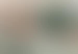 Landscape (preview)
