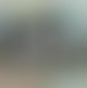 Landscape (preview)