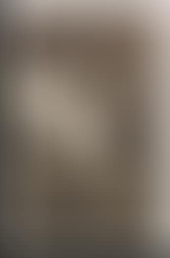 El cantor ciego (preview)