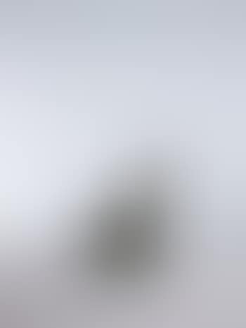 Kneeling lamb (preview)