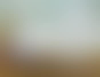 Nautilus (preview)