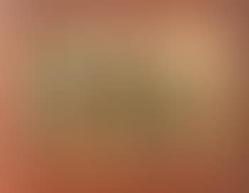 Nature morte aux fruits (preview)