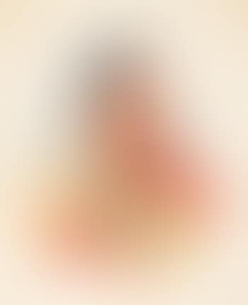 Indian Portrait (1901) (preview)