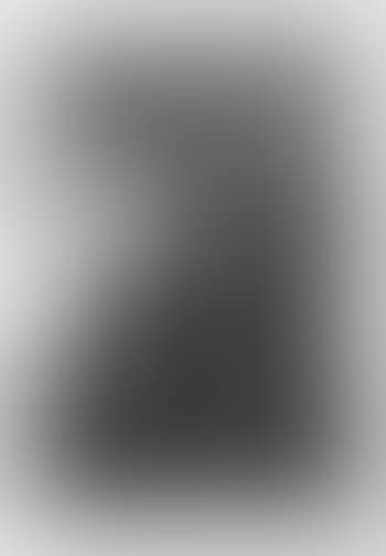 Y aun no se van! (preview)