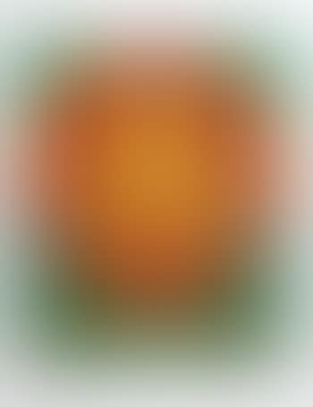 Oranges from the American Dream Portfolio (preview)