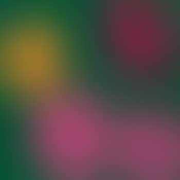 11.68: Flowers (preview)