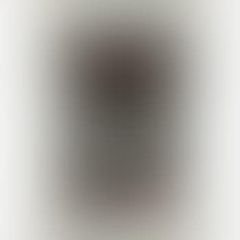 [Untitled] (preview)