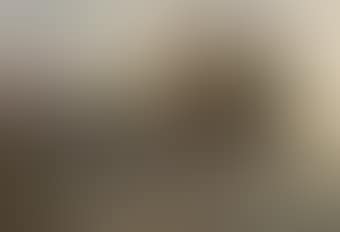 On the banks of the River Adda (preview)