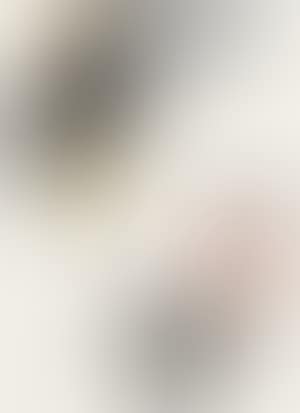 Untitled (preview)