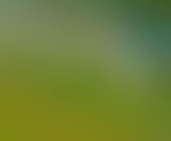 Flusslandschaft (preview)